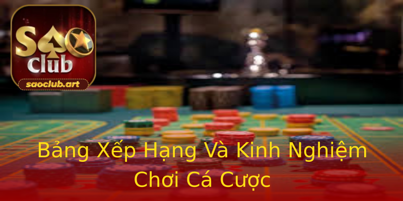 Bảng Xếp Hạng Và Kinh Nghiệm Chơi Cá Cược Bảng Xếp Hạng Và Kinh Nghiệm Chơi Cá Cược