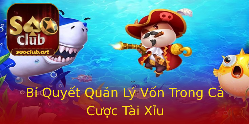 Bí Quyết Quản Lý Vốn Trong Cá Cược Tài Xỉu Bí Quyết Quản Lý Vốn Trong Cá Cược Tài Xỉu