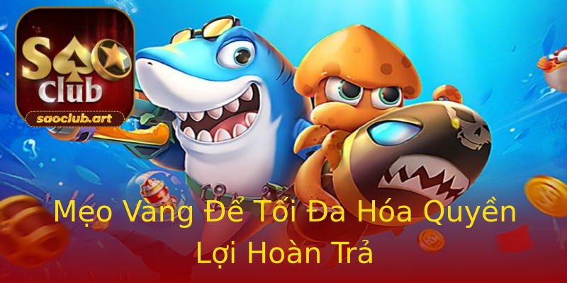 Mẹo Vàng Để Tối Đa Hóa Quyền Lợi Hoàn Trả Mẹo Vàng Để Tối Đa Hóa Quyền Lợi Hoàn Trả