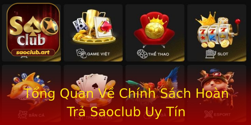 Tổng Quan Về Chính Sách Hoàn Trả Saoclub Uy Tín Tổng Quan Về Chính Sách Hoàn Trả Saoclub Uy Tín