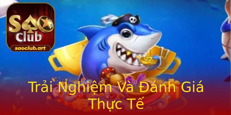 Trải Nghiệm Và Đánh Giá Thực Tế Trải Nghiệm Và Đánh Giá Thực Tế