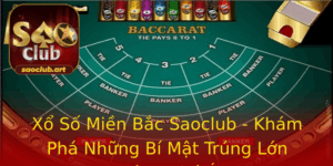 Xo So Mien Bac Saoclub Kham Pha Nhung Bi Mat Trung Lon Ang Chu Y